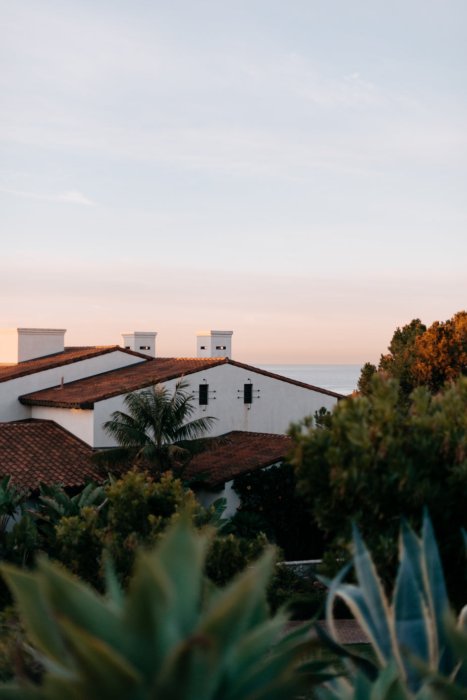 a-house-in-the-trees-soaking-up-sea-the-view.jpg